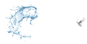 OM_Logo_2.webp